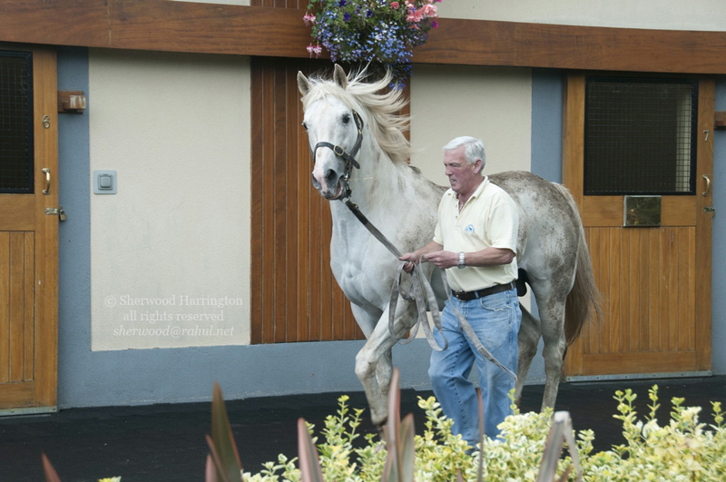 Eire2010-063