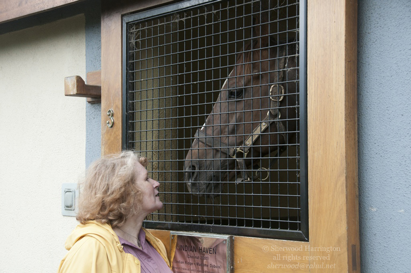 Eire2010-064
