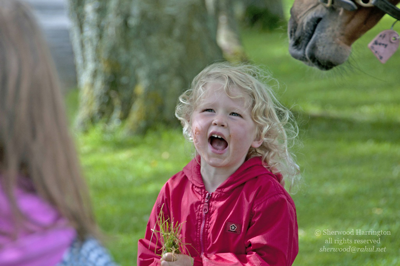 Eire2010-071