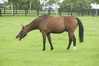 Eire2010-044