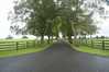 Eire2010-045