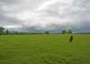 Eire2010-054