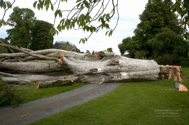Eire2010-086