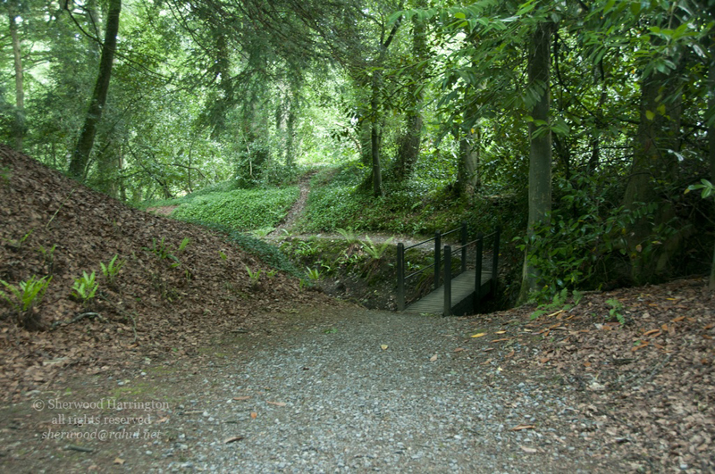 Eire2010-095