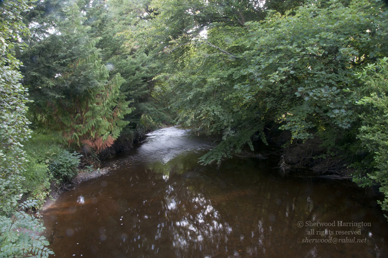Eire2010-098