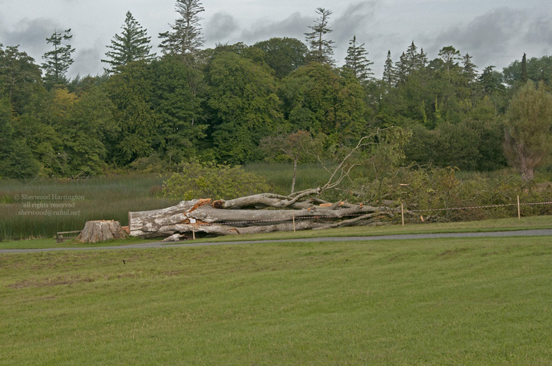 Eire2010-101