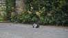 Eire2010-092