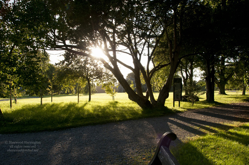 Eire2010-123