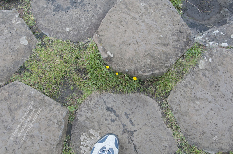 Eire2010-180
