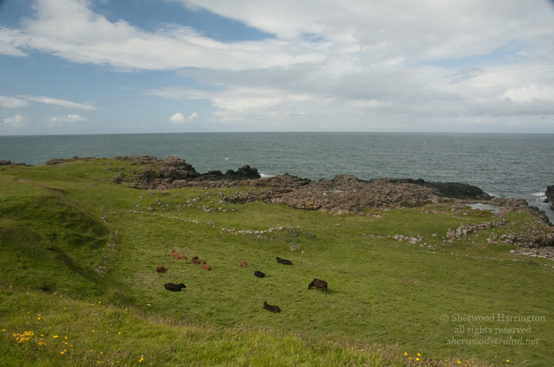 Eire2010-202