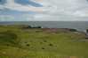 Eire2010-202