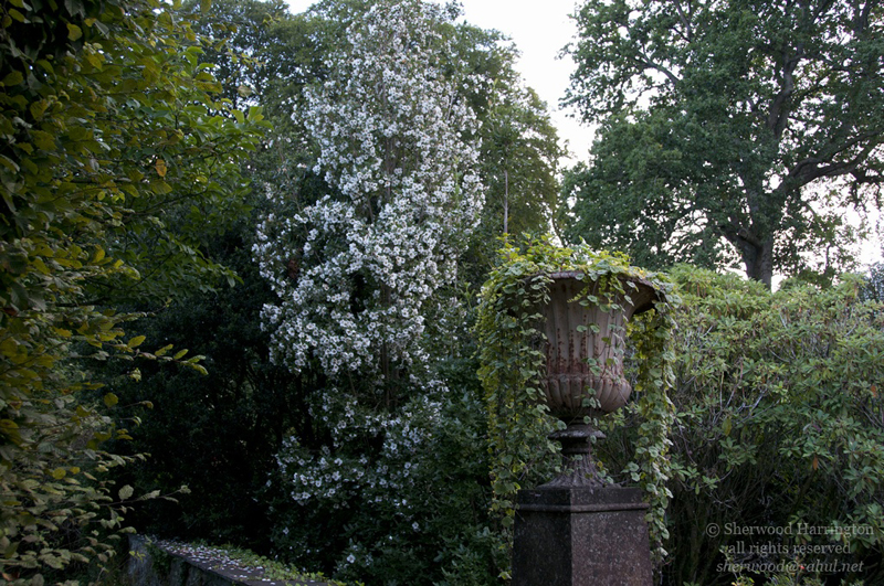 Eire2010-215