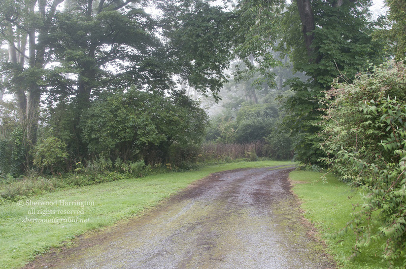Eire2010-217