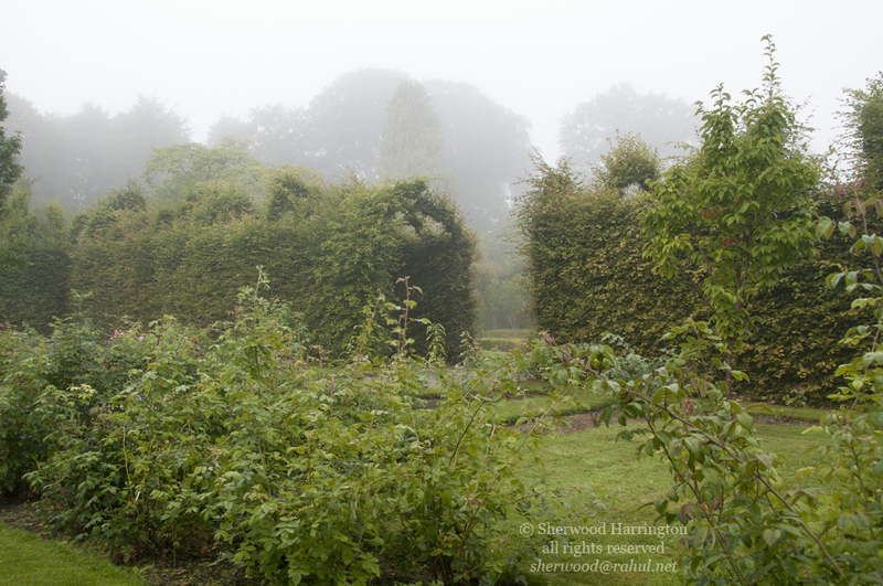 Eire2010-218