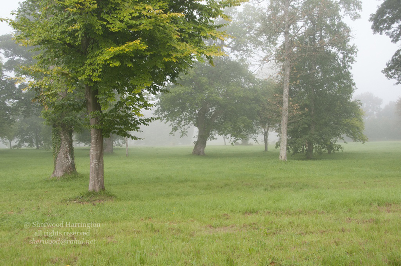 Eire2010-225