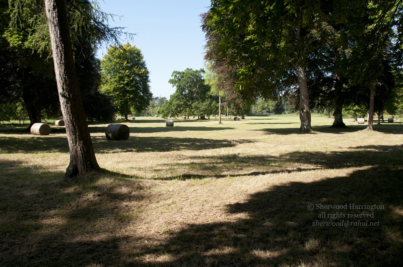 Eire2010-232