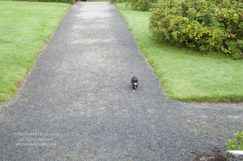 Eire2010-238