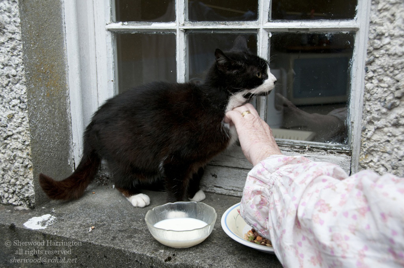 Eire2010-240