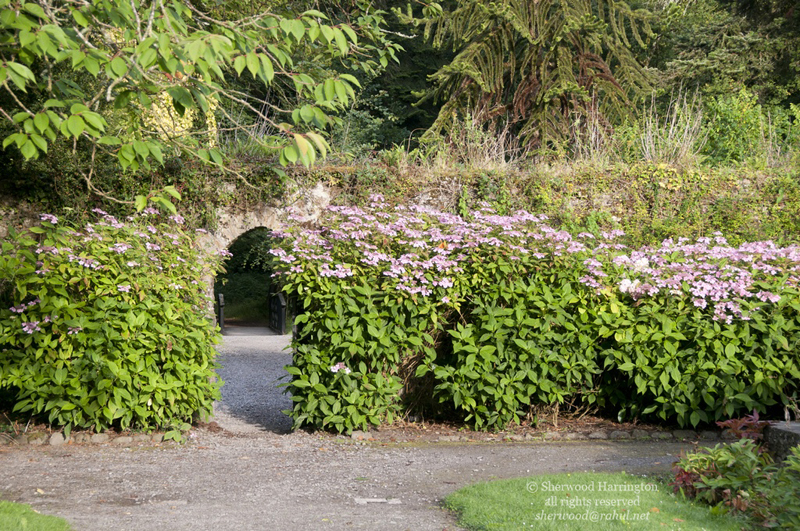 Eire2010-245