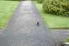 Eire2010-238