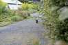 Eire2010-241
