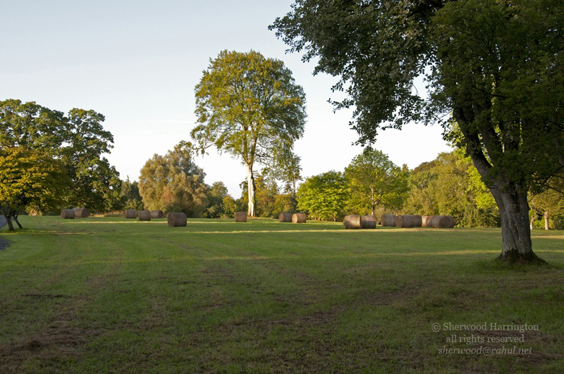 Eire2010-258