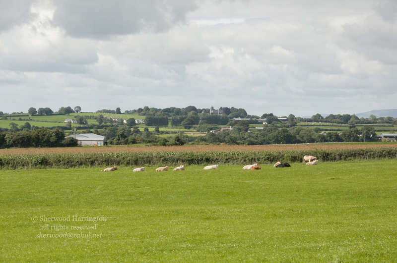 Eire2010-267