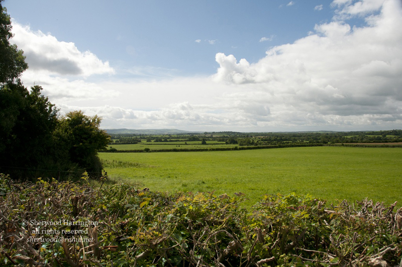 Eire2010-268