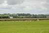 Eire2010-267