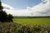 Eire2010-268