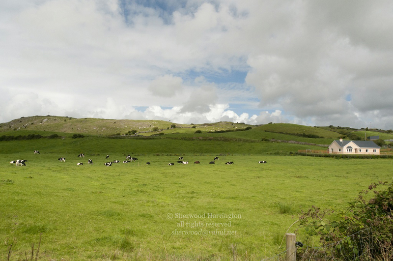 Eire2010-311