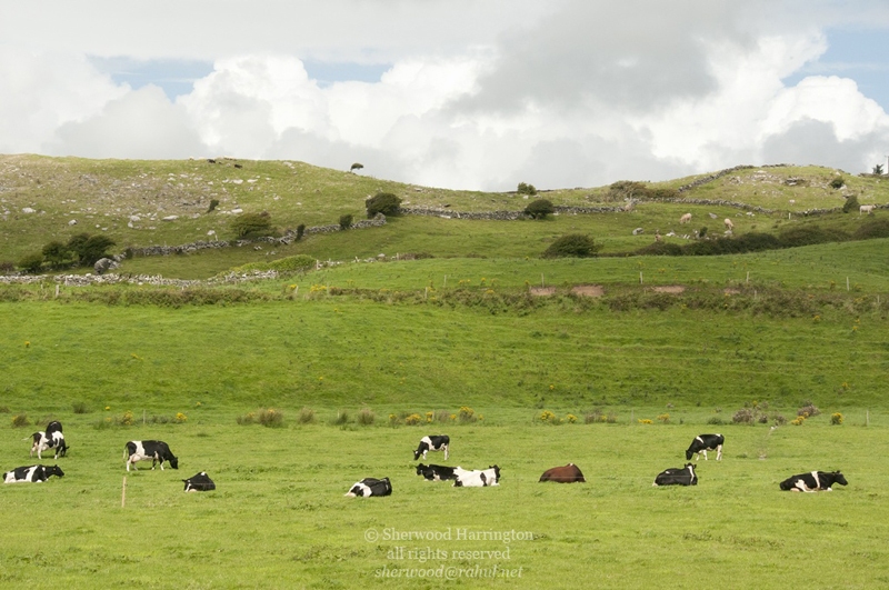 Eire2010-312