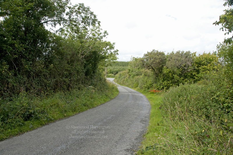 Eire2010-320