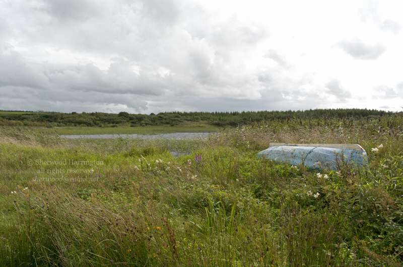 Eire2010-322