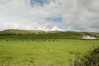 Eire2010-311