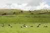 Eire2010-312