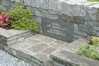 Eire2010-315