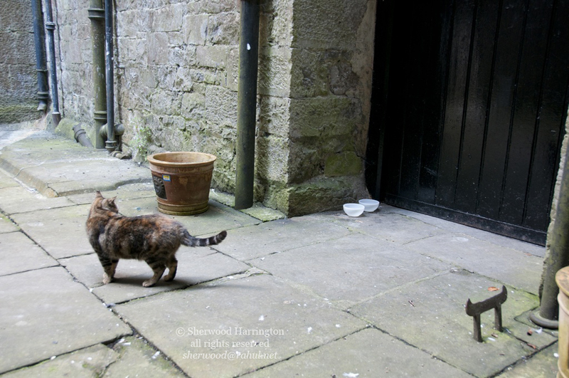 Eire2010-349