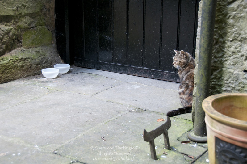 Eire2010-350