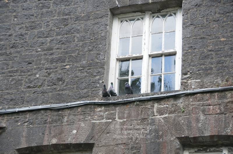 Eire2010-352