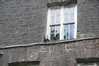 Eire2010-352