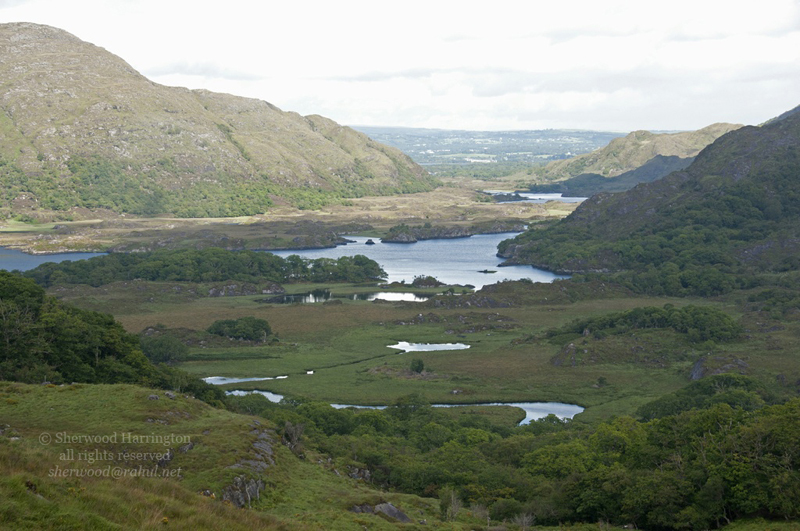 Eire2010-369
