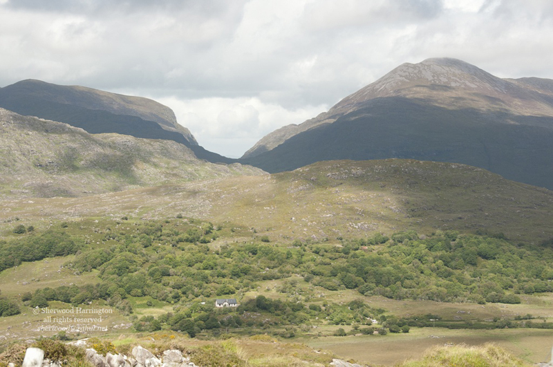Eire2010-373