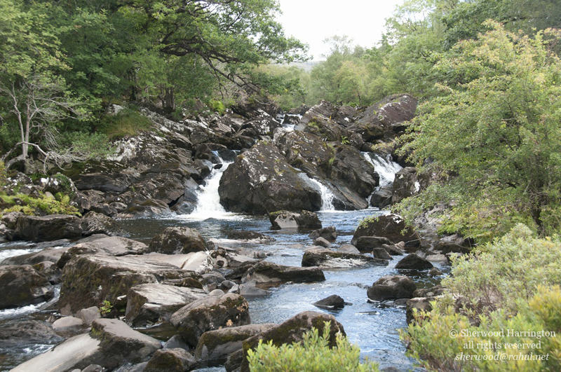 Eire2010-380