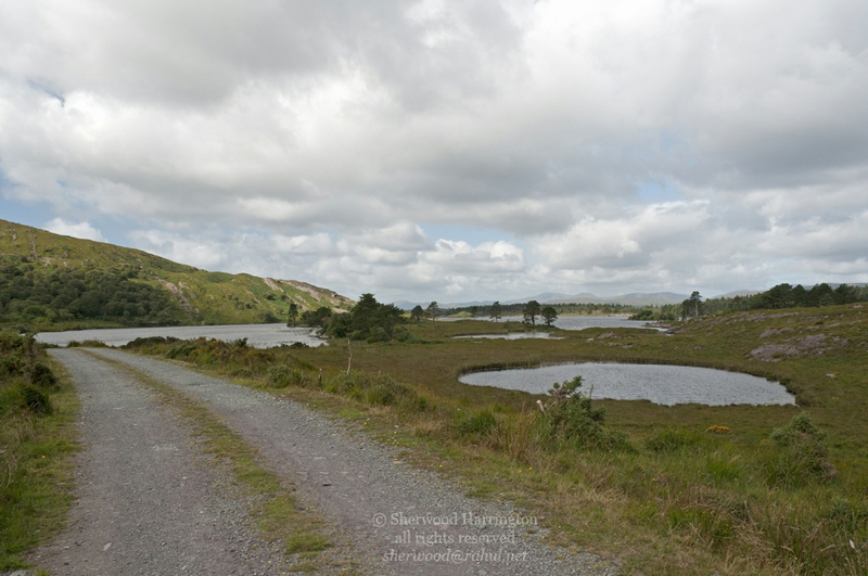Eire2010-386