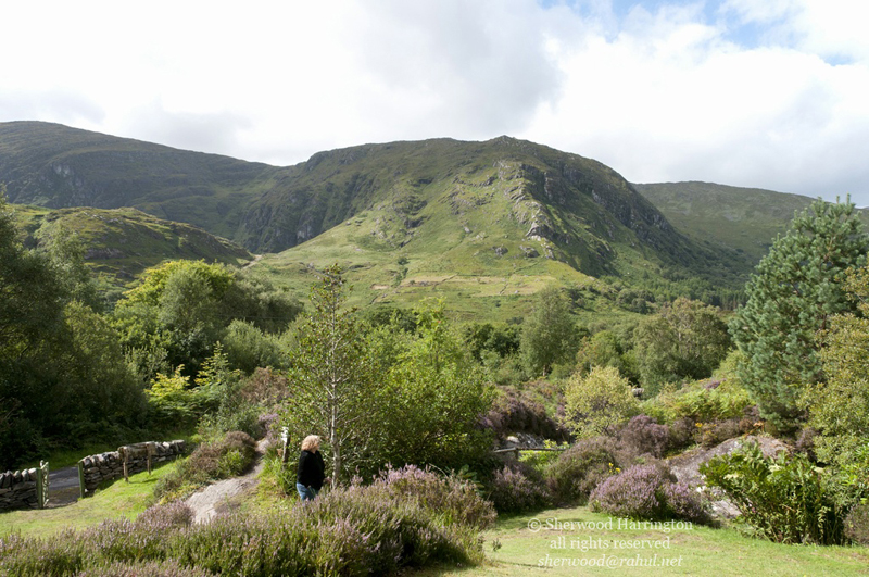 Eire2010-389