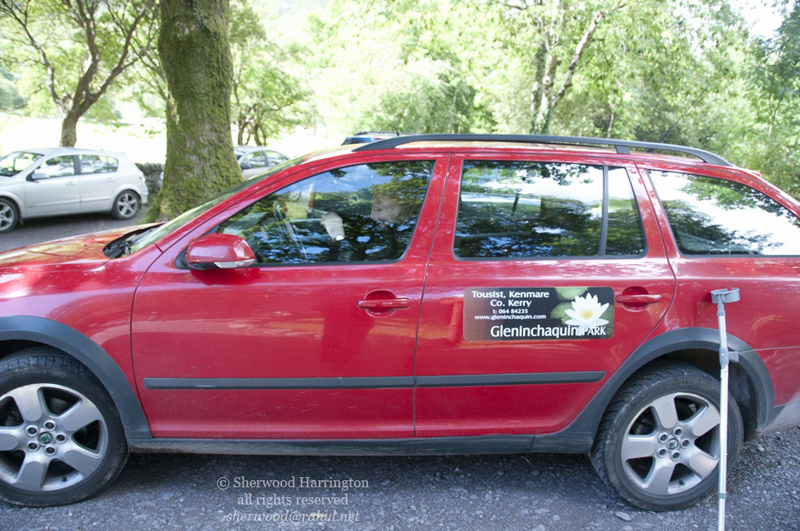 Eire2010-396