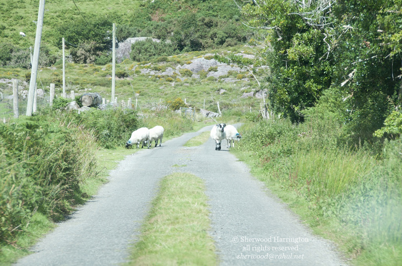 Eire2010-400