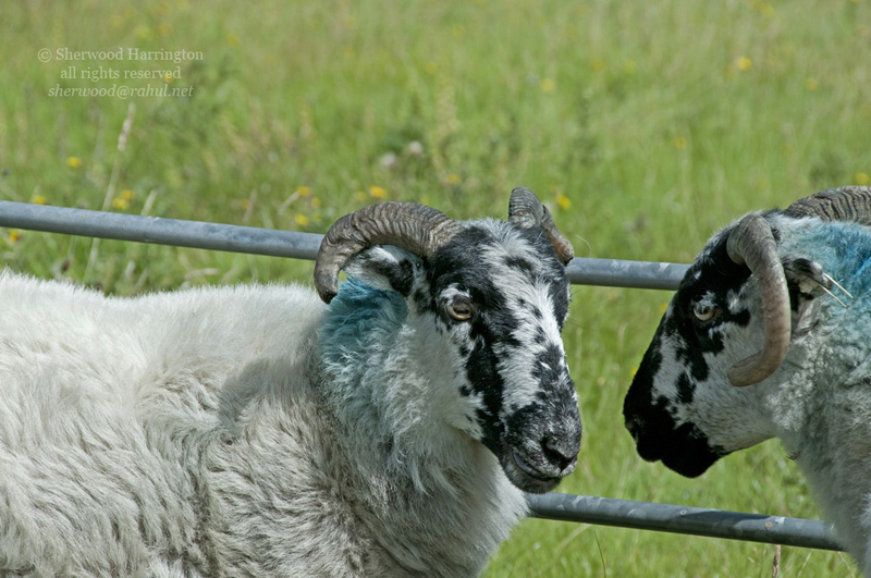 Eire2010-401