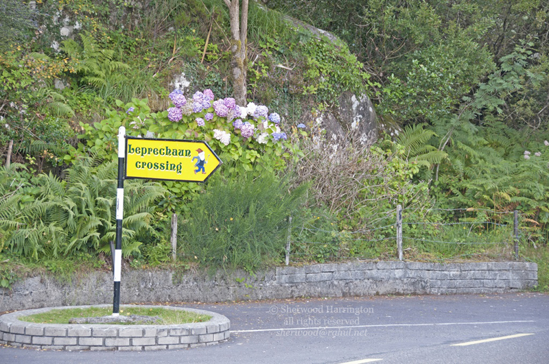 Eire2010-424